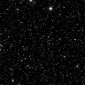 Meet your Posher, Shadae